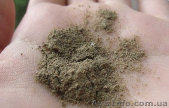 Ламинария оптом и в розницу - <ro>Изображение</ro><ru>Изображение</ru> #1, <ru>Объявление</ru> #1252205