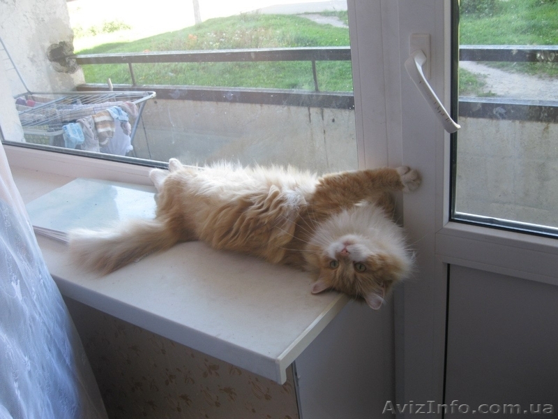 Срочный ремонт дверей Киев, ремонт металлопластиковых и алюминиевых дверей - <ro>Изображение</ro><ru>Изображение</ru> #1, <ru>Объявление</ru> #1266437