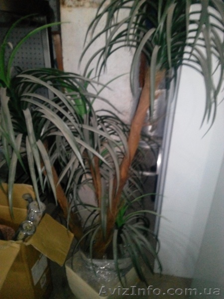Вазон искусственная  пальма б/у - <ro>Изображение</ro><ru>Изображение</ru> #1, <ru>Объявление</ru> #1266772