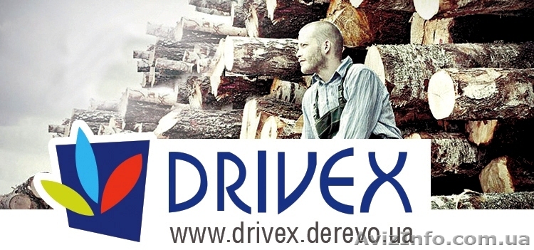 Столярная плита производство PAGET (Польша) - <ro>Изображение</ro><ru>Изображение</ru> #1, <ru>Объявление</ru> #1049051