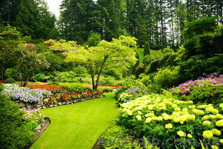 Озеленительные ландшафтные работы - <ro>Изображение</ro><ru>Изображение</ru> #1, <ru>Объявление</ru> #1263588