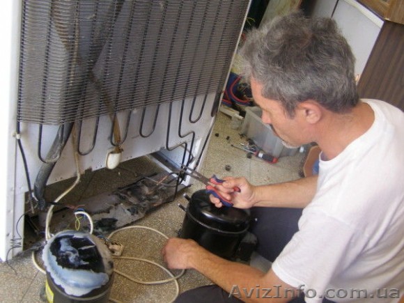 Ремонт холодильников. Частный мастер. Опыт 22 года. Низкие цены. Выдам гарантию. - <ro>Изображение</ro><ru>Изображение</ru> #1, <ru>Объявление</ru> #1258013