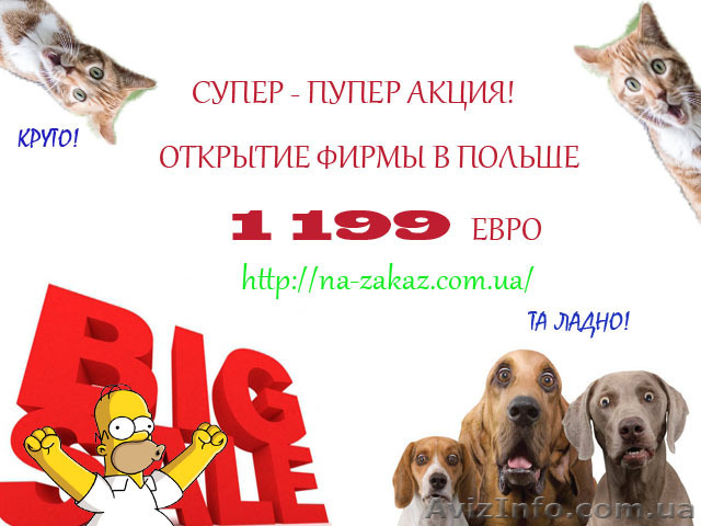  Регистрация бизнеса в Польше. Самая низкая цена. - <ro>Изображение</ro><ru>Изображение</ru> #1, <ru>Объявление</ru> #1269412