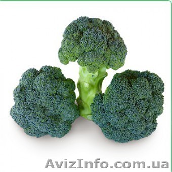 Семена капусты - брокколи CAZZY F1 / КЕЗЗИ F1 фирмы КИТАНО - <ro>Изображение</ro><ru>Изображение</ru> #1, <ru>Объявление</ru> #1274621