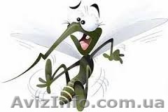 москитные сетки для дома и офиса - <ro>Изображение</ro><ru>Изображение</ru> #1, <ru>Объявление</ru> #1275038