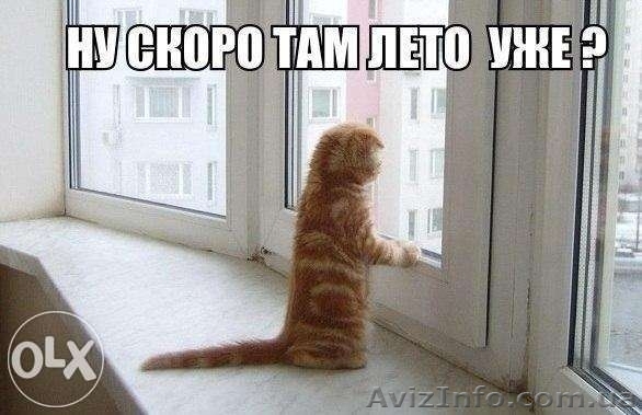 Срочный ремонт окон, дверей, ролет Киев, Харьковский, Позняки, Осокорки, без вых - <ro>Изображение</ro><ru>Изображение</ru> #1, <ru>Объявление</ru> #1287246