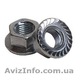 Гайка зубчатая с буртиком - <ro>Изображение</ro><ru>Изображение</ru> #1, <ru>Объявление</ru> #1284530