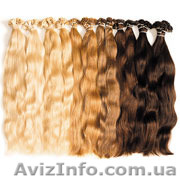 Купим волосы ДОРОГО - <ro>Изображение</ro><ru>Изображение</ru> #1, <ru>Объявление</ru> #1302052