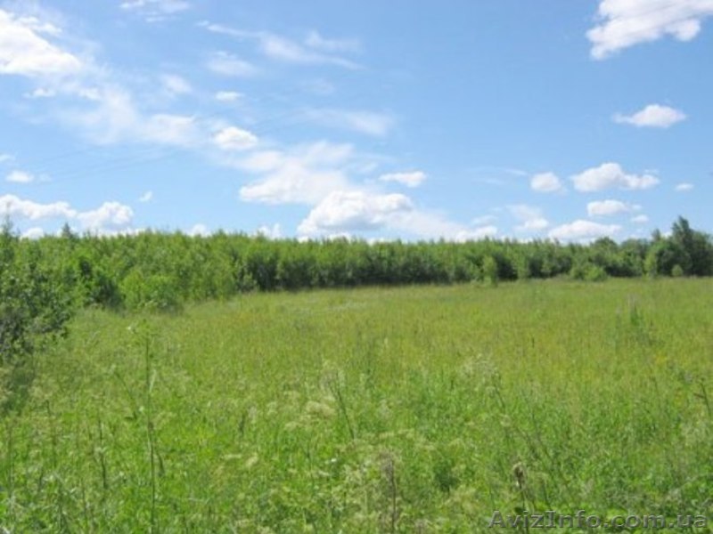 Продаётся участок в Киевской области. - <ro>Изображение</ro><ru>Изображение</ru> #1, <ru>Объявление</ru> #1297883