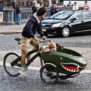 Детские велокресла, велоприцепы HAMAX, BEBEHUT COMBO - <ro>Изображение</ro><ru>Изображение</ru> #1, <ru>Объявление</ru> #1297986