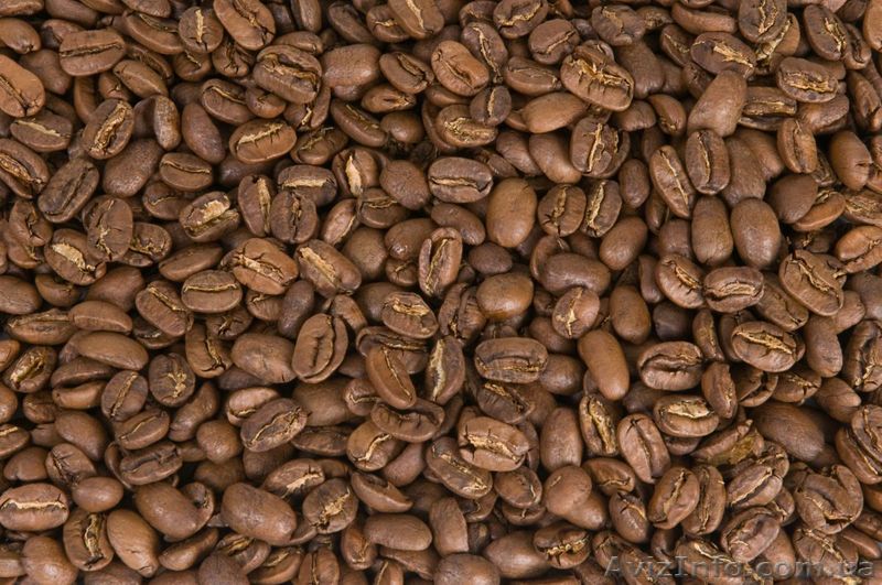 Марагоджип Никарагуа, Гватемала, Мексика - <ro>Изображение</ro><ru>Изображение</ru> #1, <ru>Объявление</ru> #1311460