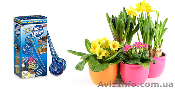 Поливочные колбы Aqua Globes - <ro>Изображение</ro><ru>Изображение</ru> #1, <ru>Объявление</ru> #1308802