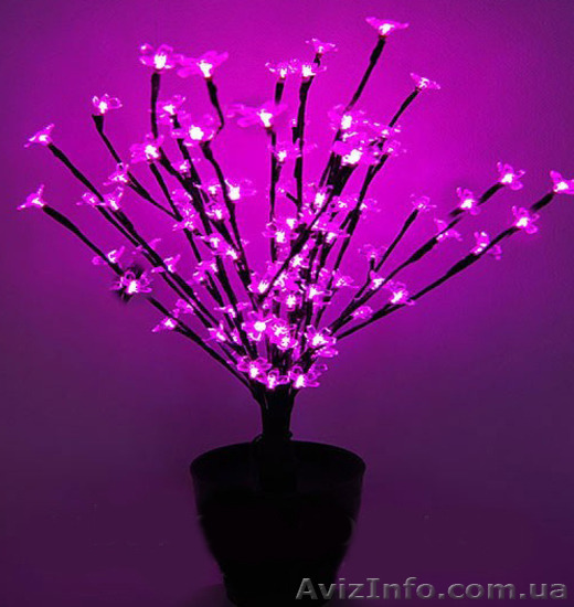 Светодиодное дерево"Бонсай",хорошие новогодние подарки - <ro>Изображение</ro><ru>Изображение</ru> #1, <ru>Объявление</ru> #1314828