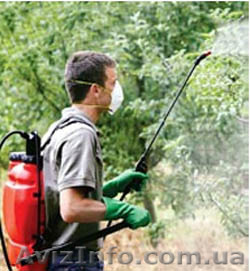 Обработка сада от болезней и вредителей  - <ro>Изображение</ro><ru>Изображение</ru> #1, <ru>Объявление</ru> #1319563