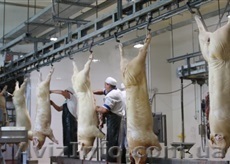 Куплю (возьму в аренду) -  бойню - <ro>Изображение</ro><ru>Изображение</ru> #1, <ru>Объявление</ru> #1320451