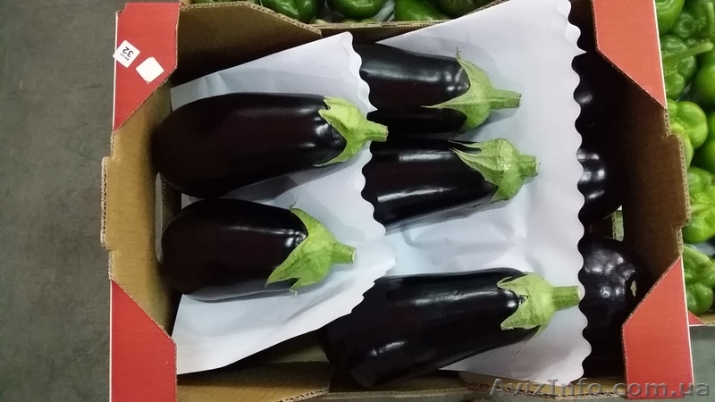 Баклажаны из Испании - <ro>Изображение</ro><ru>Изображение</ru> #1, <ru>Объявление</ru> #1329031