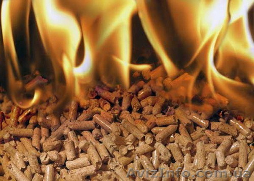 Куплю пеллеты  - <ro>Изображение</ro><ru>Изображение</ru> #1, <ru>Объявление</ru> #1319884