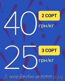 Акция от Бонано - <ro>Изображение</ro><ru>Изображение</ru> #1, <ru>Объявление</ru> #1327533