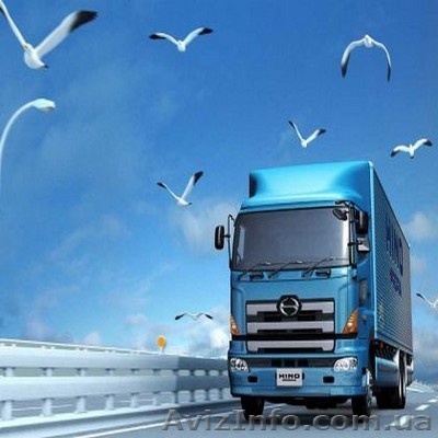 Экспорт древесины таможенное оформление киев - <ro>Изображение</ro><ru>Изображение</ru> #1, <ru>Объявление</ru> #1340878