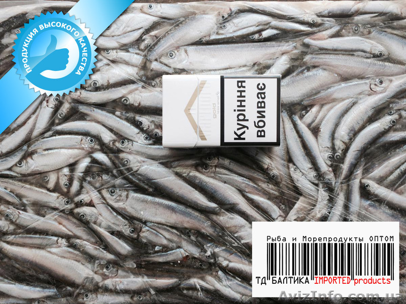 Килька балтийская свежемороженая (томатная группа) Эстония оптом - <ro>Изображение</ro><ru>Изображение</ru> #1, <ru>Объявление</ru> #1334084