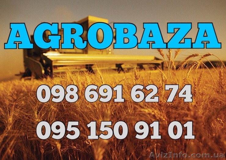 Новогодняя распродажа Баз Сельхозпроизводителей - 1000 грн. - <ro>Изображение</ro><ru>Изображение</ru> #1, <ru>Объявление</ru> #1352227