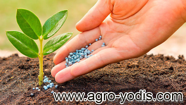 Средства защиты растений: гербициды, фунгициды, протравители, инсектициды - <ro>Изображение</ro><ru>Изображение</ru> #1, <ru>Объявление</ru> #1361769