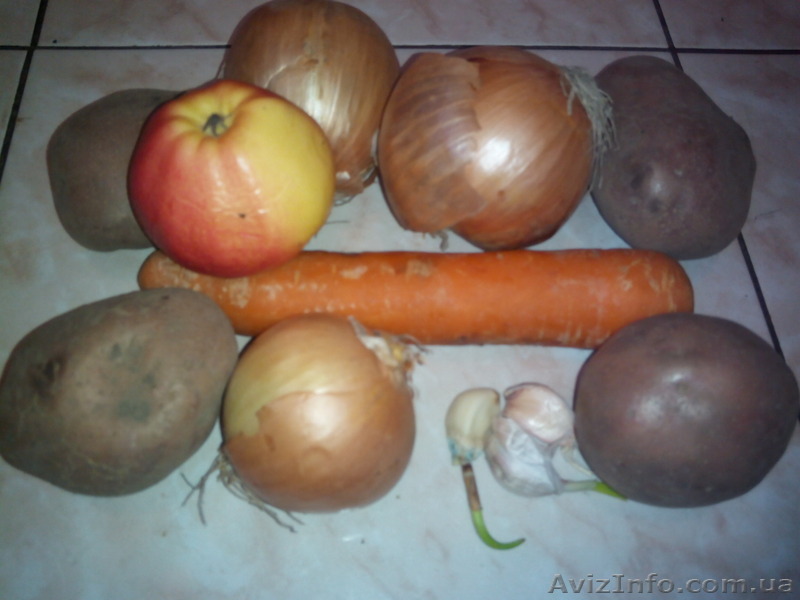 картофель. буряк. морква. капуста. цибуля - <ro>Изображение</ro><ru>Изображение</ru> #1, <ru>Объявление</ru> #1361730