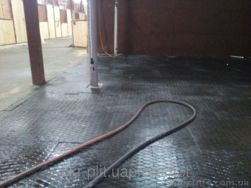 Резиновая плитка для коньков - <ro>Изображение</ro><ru>Изображение</ru> #1, <ru>Объявление</ru> #1371625