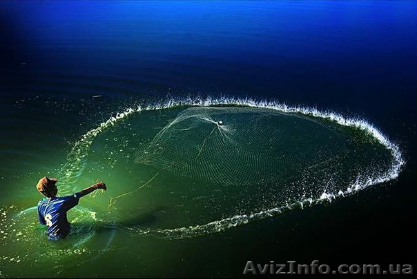 Продам сеть кастинговую - <ro>Изображение</ro><ru>Изображение</ru> #1, <ru>Объявление</ru> #1371068