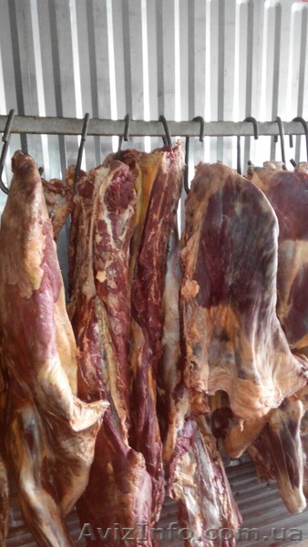 Говядина в четвертях 1кат, блочная в/с, 1с, 2с, субпродукты. - <ro>Изображение</ro><ru>Изображение</ru> #1, <ru>Объявление</ru> #1381822