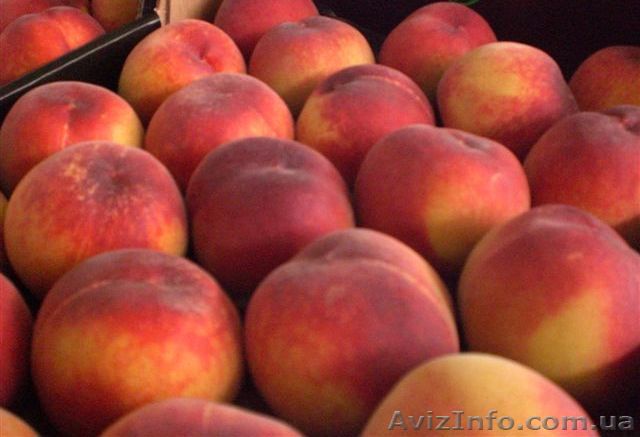 Персики из Испании - <ro>Изображение</ro><ru>Изображение</ru> #1, <ru>Объявление</ru> #1423062