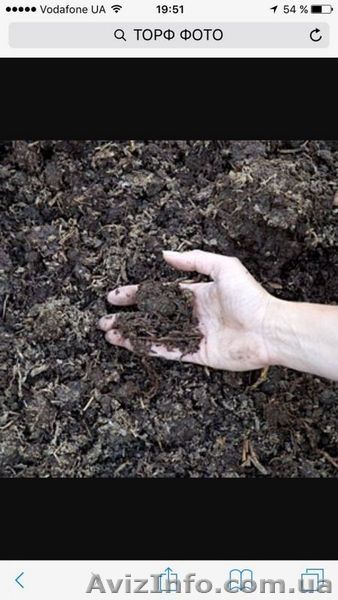 Куплю торф, продам торф - <ro>Изображение</ro><ru>Изображение</ru> #1, <ru>Объявление</ru> #1409221