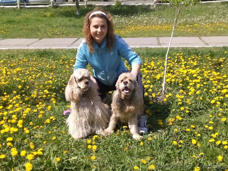 Услуги кинолога, выгул, стрижка, передержка - <ro>Изображение</ro><ru>Изображение</ru> #1, <ru>Объявление</ru> #1478707