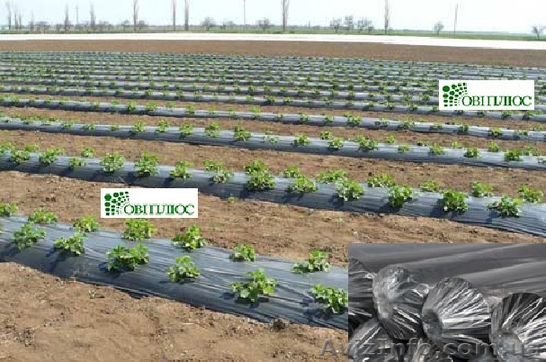 Черная  пленка для мульчирования - гарантия 3 года  - <ro>Изображение</ro><ru>Изображение</ru> #1, <ru>Объявление</ru> #1473685