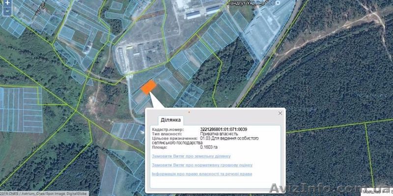 Земельный Участок Броварской р-н, Киевская обл. урочище "Оглухов" - <ro>Изображение</ro><ru>Изображение</ru> #1, <ru>Объявление</ru> #1491113