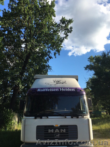 Предоставляем транспорт для перевозки животных вся Украина - <ro>Изображение</ro><ru>Изображение</ru> #1, <ru>Объявление</ru> #1486088