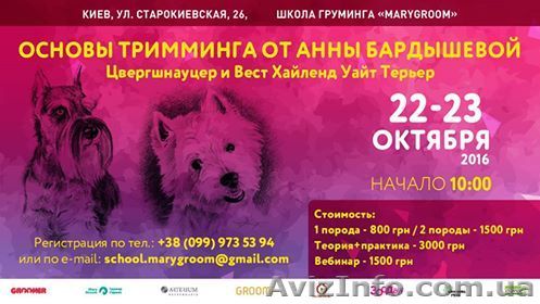 Онлайн вебинар и мастер клас - <ro>Изображение</ro><ru>Изображение</ru> #1, <ru>Объявление</ru> #1495096