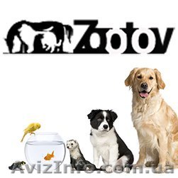 Продажа Zootov - <ro>Изображение</ro><ru>Изображение</ru> #1, <ru>Объявление</ru> #1497236