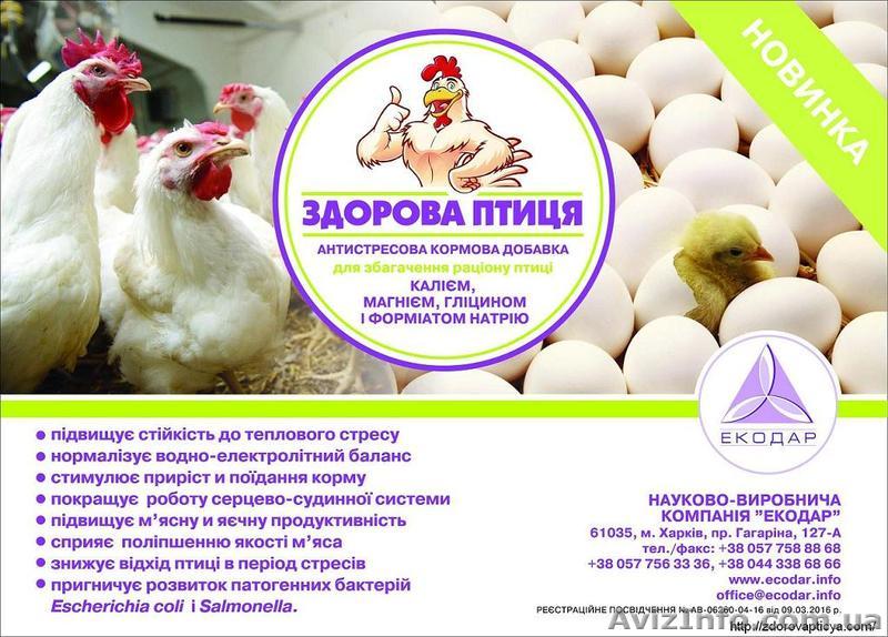 Антистрессовая кормовая добавка ЗДОРОВА ПТИЦЯ - <ro>Изображение</ro><ru>Изображение</ru> #1, <ru>Объявление</ru> #1517897