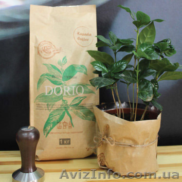 Кофе в зернах, свежая обжарка - <ro>Изображение</ro><ru>Изображение</ru> #1, <ru>Объявление</ru> #1517096