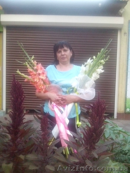 Ремонт ролет Киев недорого, ремонт дверей, диагностика окон Киев - <ro>Изображение</ro><ru>Изображение</ru> #1, <ru>Объявление</ru> #1521323