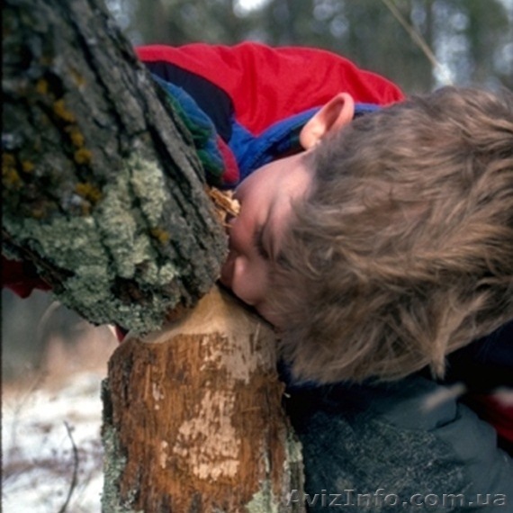 Курс Столярное дело-1(навыки) - <ro>Изображение</ro><ru>Изображение</ru> #1, <ru>Объявление</ru> #1526741