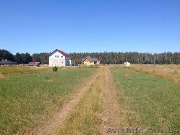 Без комиссионных! Петрушки. СРОЧНО ПРОДАМ УЧАСТОК! Хозяин. - <ro>Изображение</ro><ru>Изображение</ru> #1, <ru>Объявление</ru> #1543719