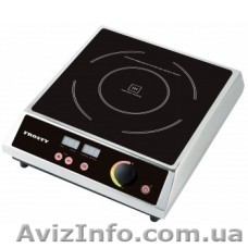 Индукционная плита FROSTY BT-270A  (продам) - <ro>Изображение</ro><ru>Изображение</ru> #1, <ru>Объявление</ru> #1553823