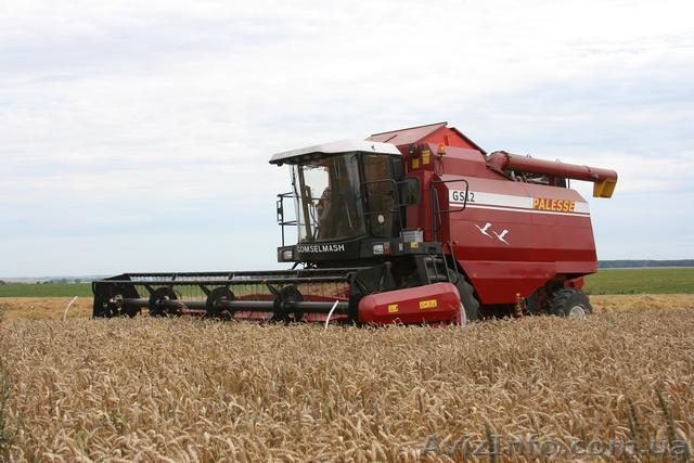 Зернозбиральні комбайни - <ro>Изображение</ro><ru>Изображение</ru> #1, <ru>Объявление</ru> #1562282