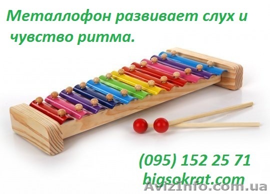 Металлофон на 12 тонов - <ro>Изображение</ro><ru>Изображение</ru> #1, <ru>Объявление</ru> #1559603
