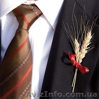 Стажер / Практикант – потенциальные работодатели для Вас  - <ro>Изображение</ro><ru>Изображение</ru> #1, <ru>Объявление</ru> #1559610