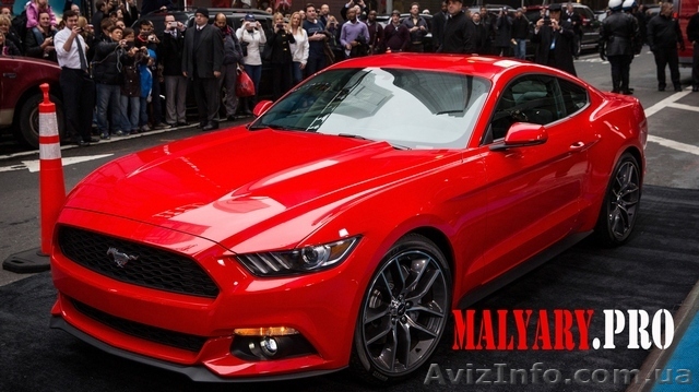 Малярка. Киев. Профессиональный сервис - <ro>Изображение</ro><ru>Изображение</ru> #1, <ru>Объявление</ru> #1565882