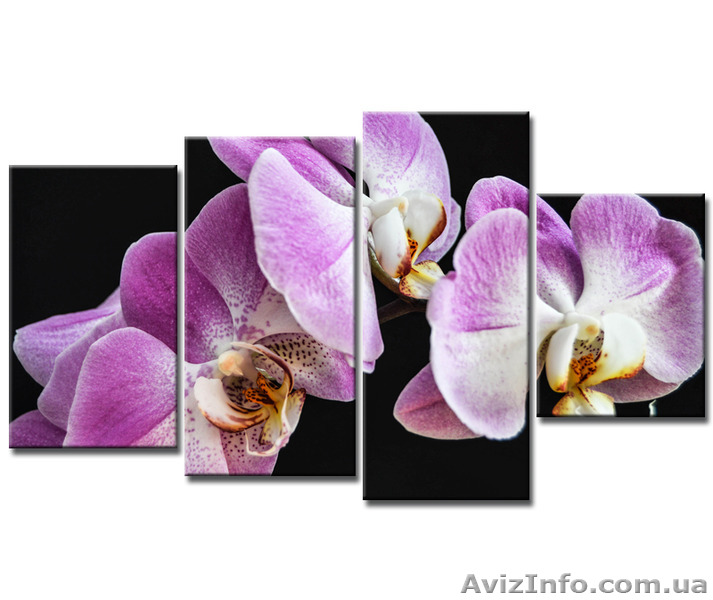 Модульные картины оптом в Украине. Широкий выбор, отличное качество - <ro>Изображение</ro><ru>Изображение</ru> #1, <ru>Объявление</ru> #1574155