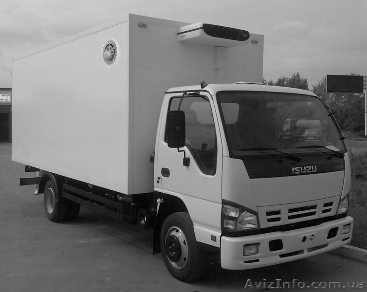 ISUZU NQR 75 P изотерм - <ro>Изображение</ro><ru>Изображение</ru> #1, <ru>Объявление</ru> #1576919